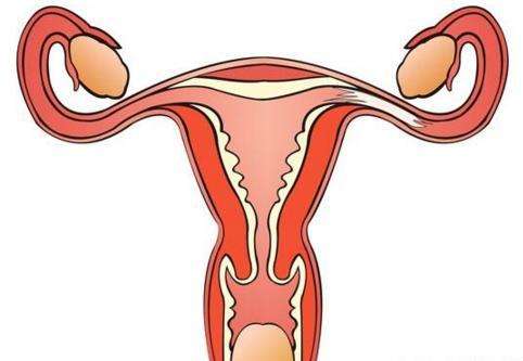 输卵管炎症会影响受孕吗？