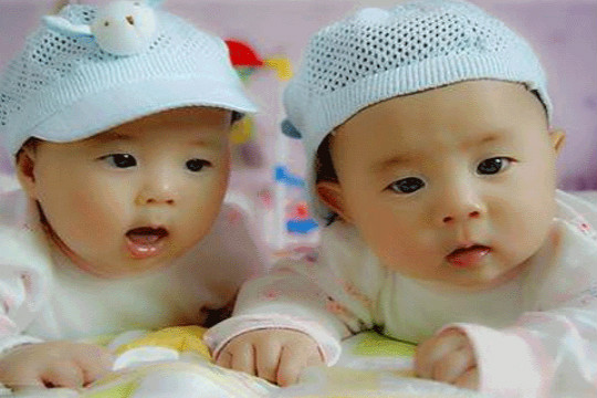 在泰国做试管婴儿双胞胎是否一定会成功？
